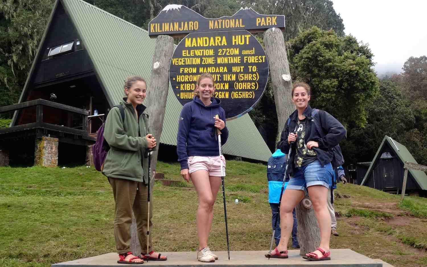 Kilimanjaro Tageswanderung